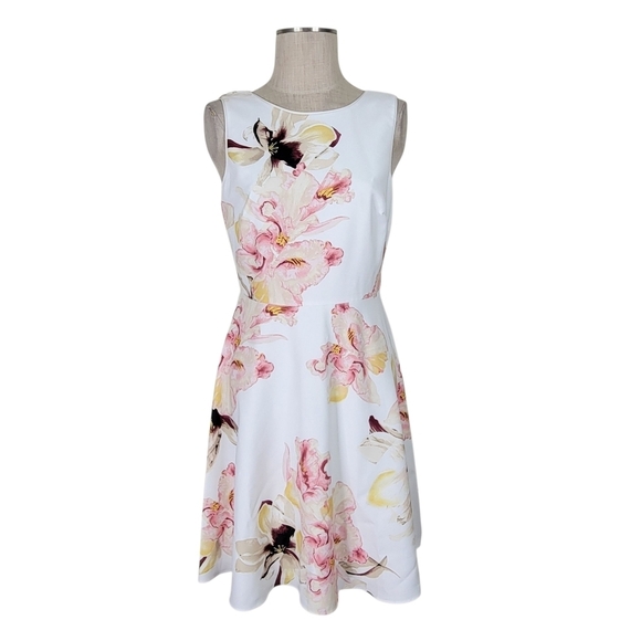 WHBM Fit N Flare Dress Size 6 White Pink Floral Sleeveless Back V Neck Lined New - Picture 3 of 11